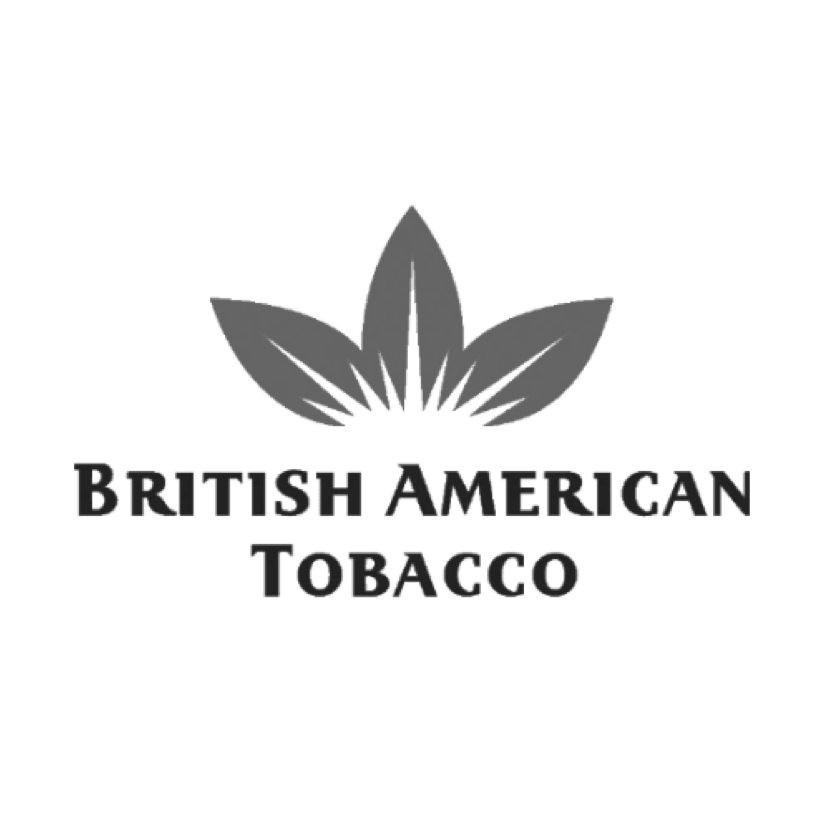 Разработка и адаптация учебных программ, British American Tabacco