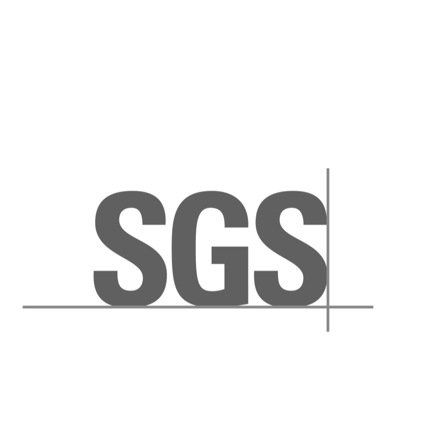 Разработка и адаптация учебных программ, SGS